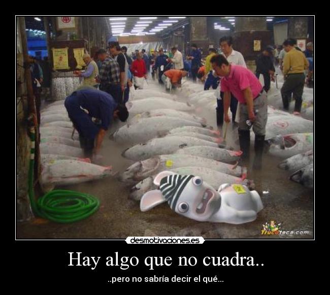 Hay algo que no cuadra.. - 