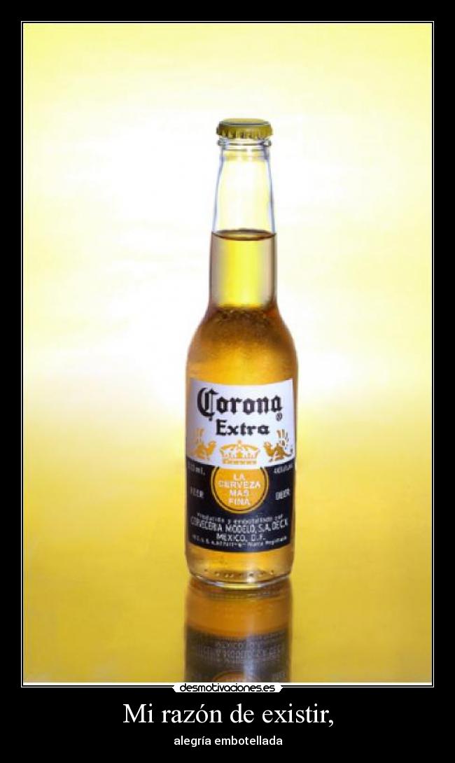 Mi razón de existir, -