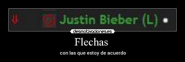 Flechas  - con las que estoy de acuerdo