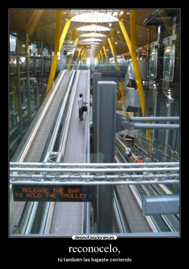reconocelo, - tú también las bajaste corriendo