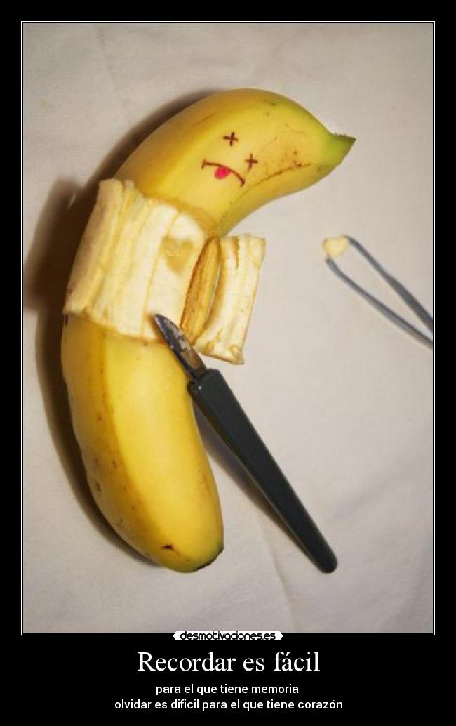 carteles recordar olvidar desmotivaciones