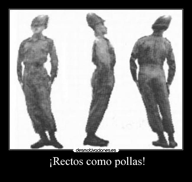 ¡Rectos como pollas! -
