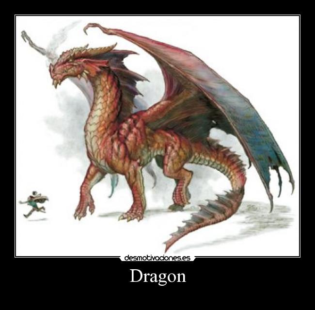 Dragon -