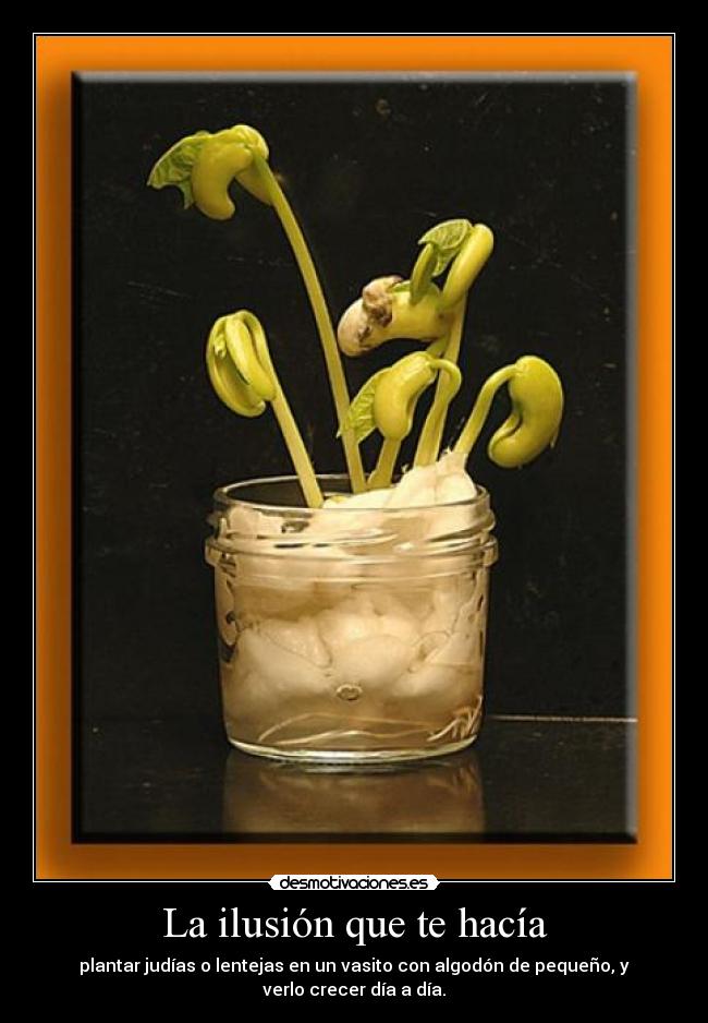 carteles ilusion judias lentejas plantar vasito algodon crecer dia desmotivaciones