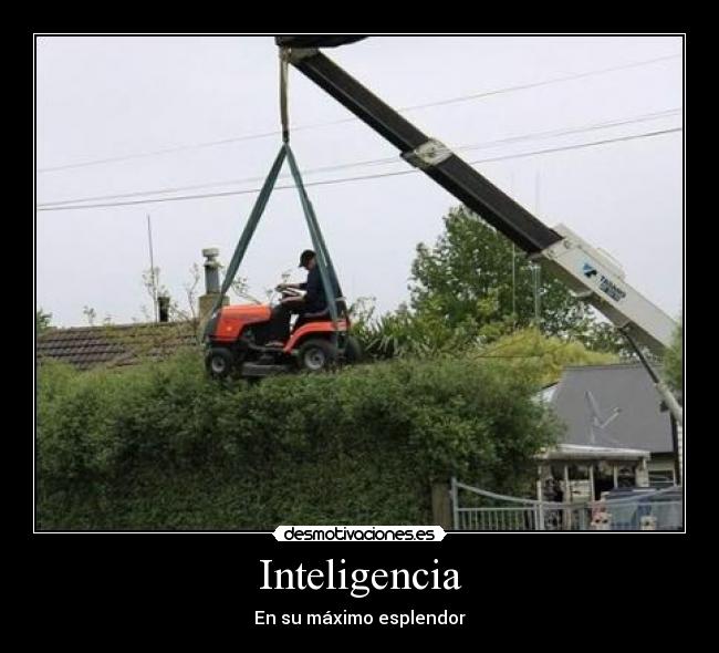 Inteligencia - 