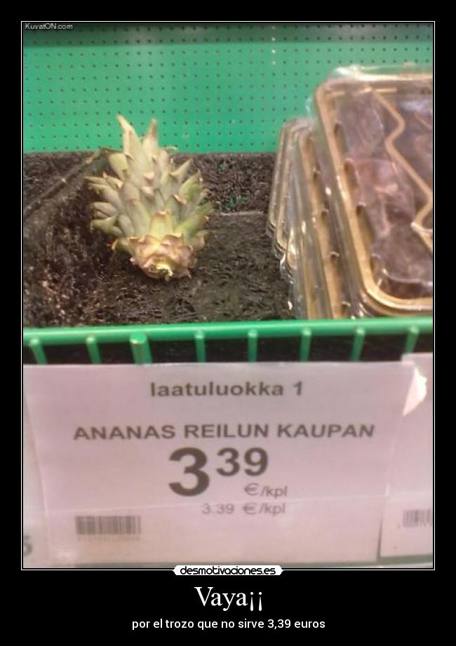 Vaya¡¡ - por el trozo que no sirve 3,39 euros