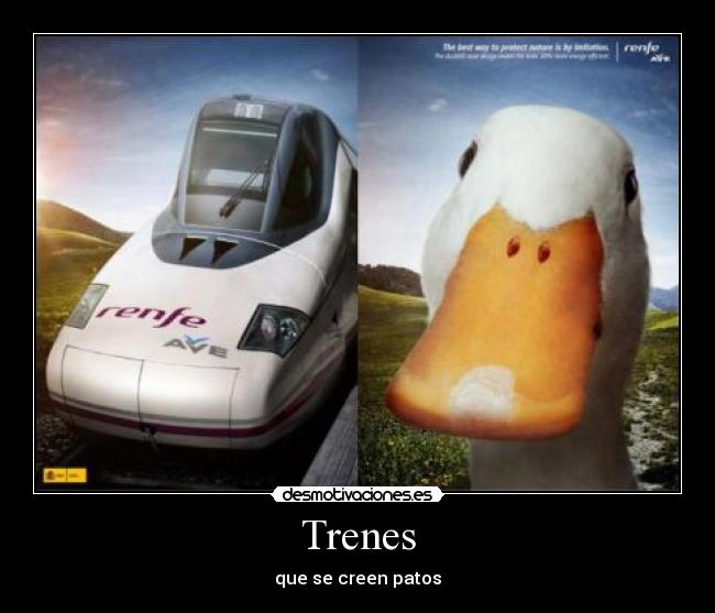 Trenes -