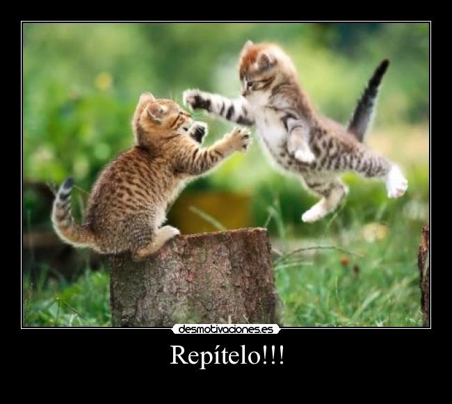 Repítelo!!! -