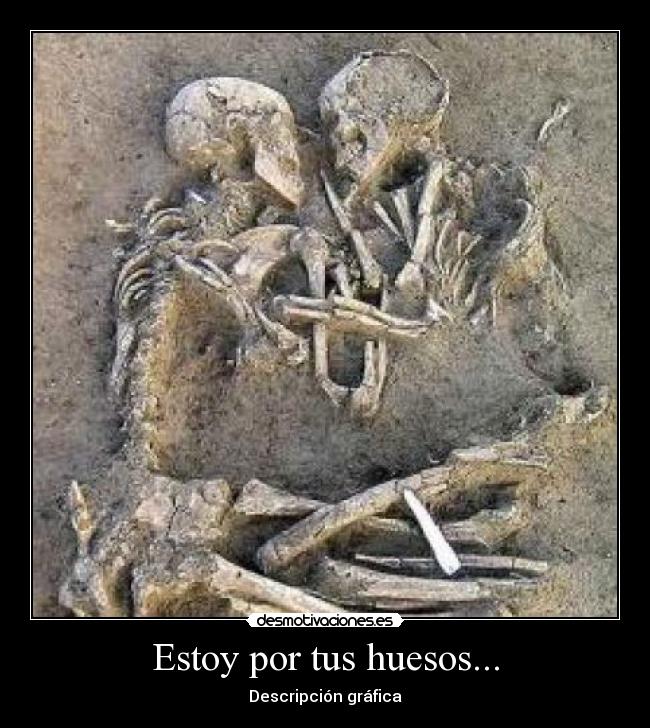 Estoy por tus huesos... - Descripción gráfica