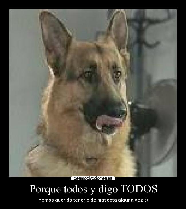 Porque todos y digo TODOS - hemos querido tenerle de mascota alguna vez :)