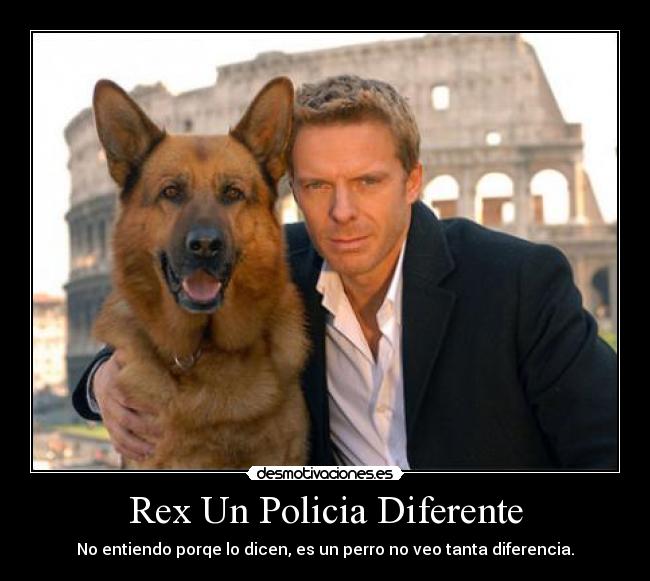 Rex Un Policia Diferente - No entiendo porqe lo dicen, es un perro no veo tanta diferencia.