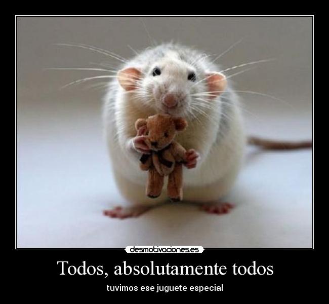 Todos, absolutamente todos -