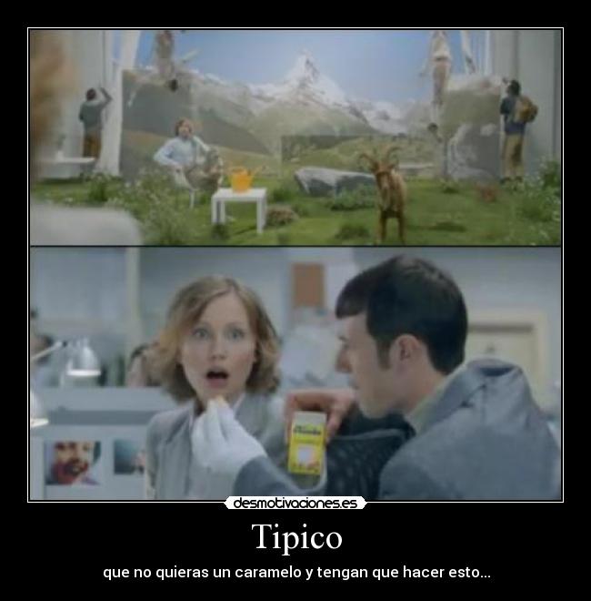 Tipico - 