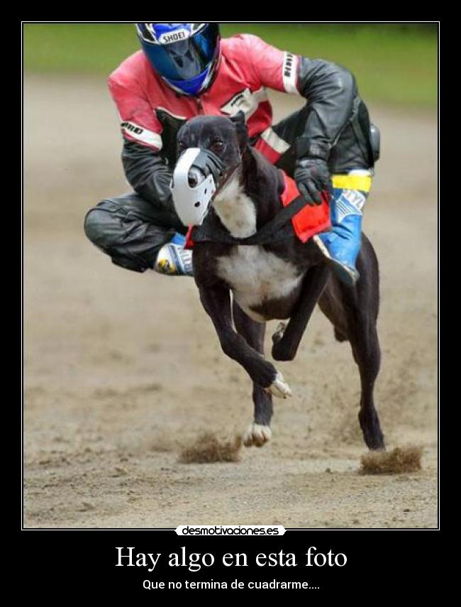 Hay algo en esta foto -