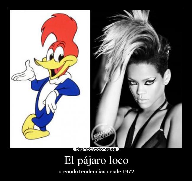 El pájaro loco - creando tendencias desde 1972