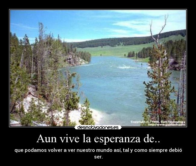 carteles esperanza naturaleza desmotivaciones