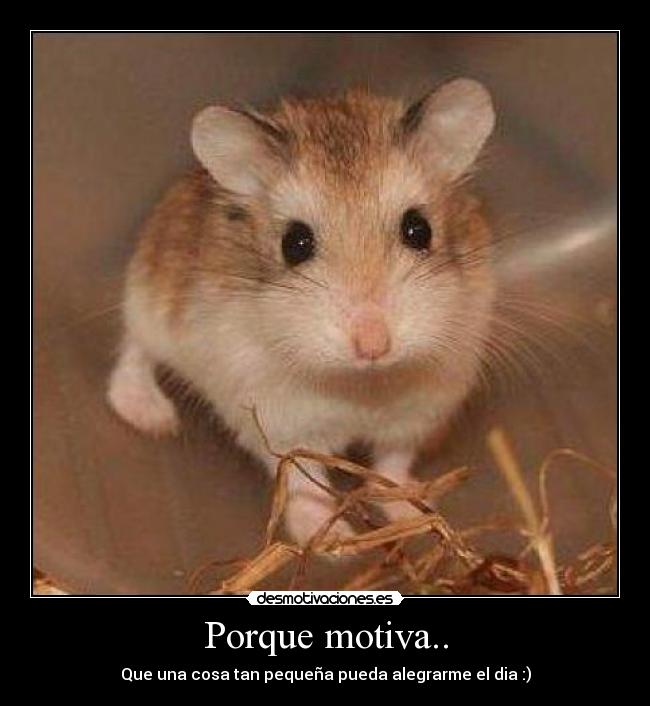 Porque motiva.. -