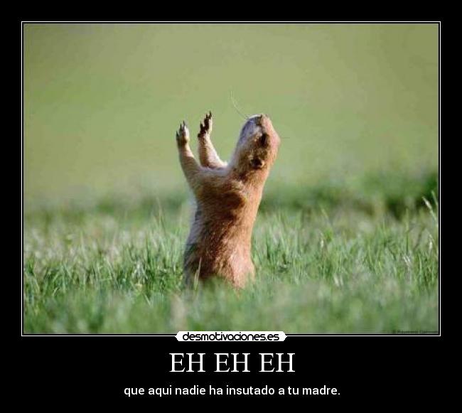 EH EH EH - que aqui nadie ha insutado a tu madre.