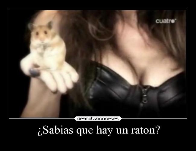 ¿Sabias que hay un raton? -