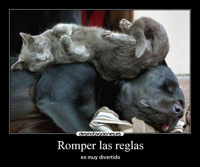 Romper las reglas - es muy divertido
