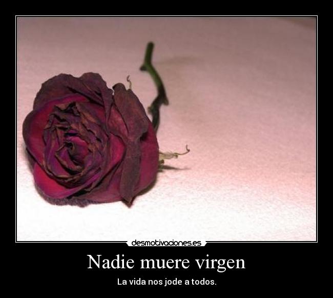 Nadie muere virgen - 