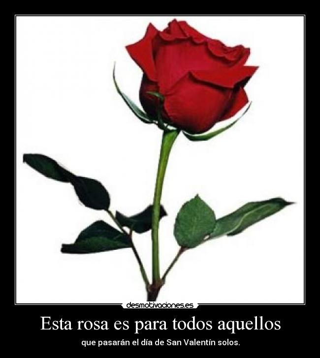 Esta rosa es para todos aquellos -
