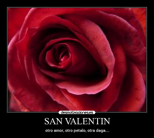 SAN VALENTIN - otro amor, otro petalo, otra daga....