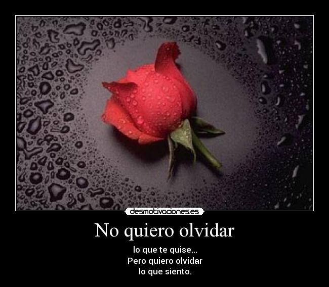 carteles olvidar vfju desmotivaciones