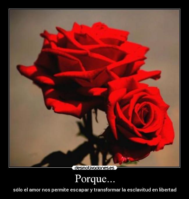 Porque... - sólo el amor nos permite escapar y transformar la esclavitud en libertad