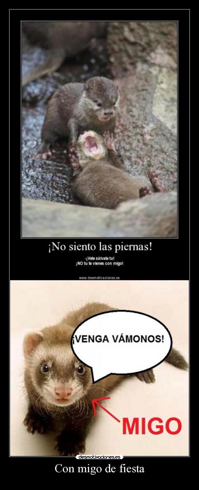 Con migo de fiesta -