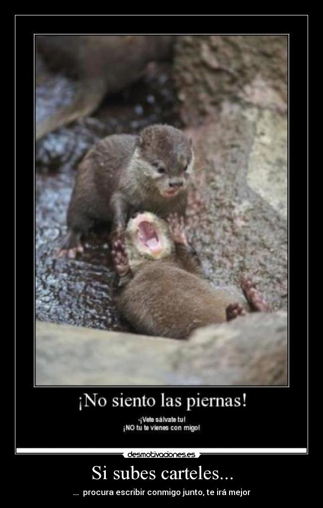 Si subes carteles... - 