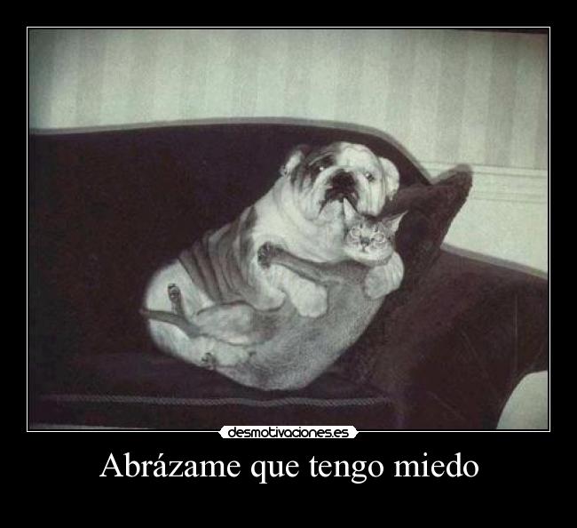 Abrázame que tengo miedo -