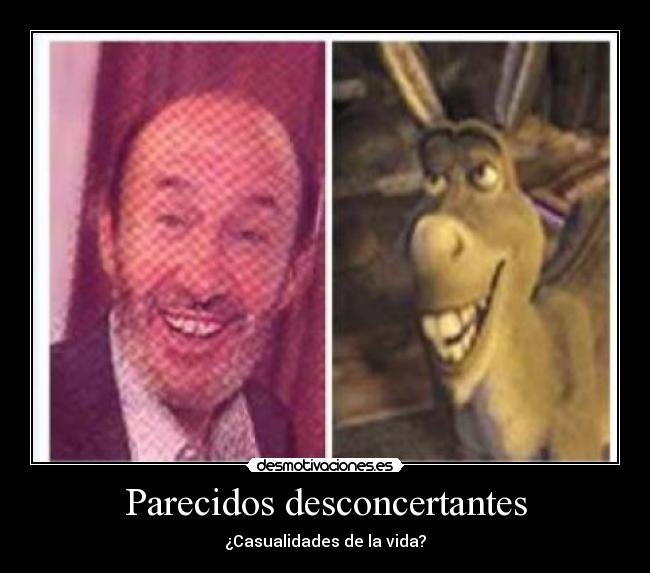 Parecidos desconcertantes -