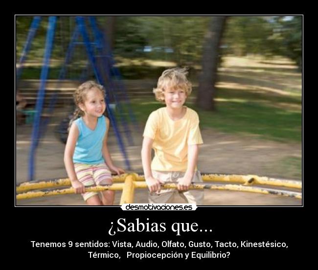 ¿Sabias que... - Tenemos 9 sentidos: Vista, Audio, Olfato, Gusto, Tacto, Kinestésico,
Térmico, Propiocepción y Equilibrio?