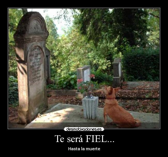 Te será FIEL... - Hasta la muerte