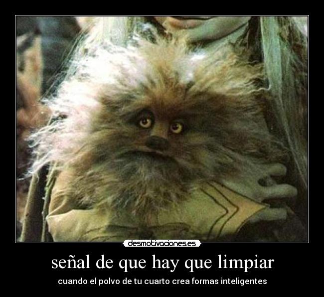 señal de que hay que limpiar - cuando el polvo de tu cuarto crea formas inteligentes