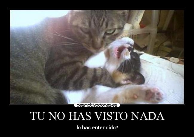 TU NO HAS VISTO NADA -
