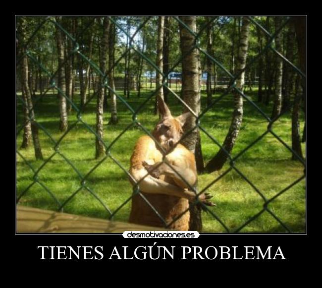 TIENES ALGÚN PROBLEMA - 