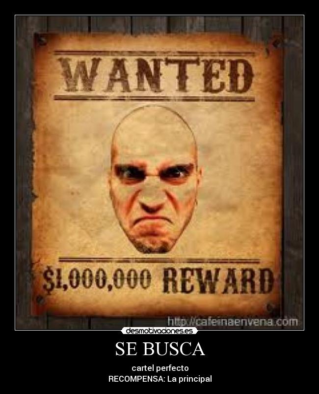 SE BUSCA - 