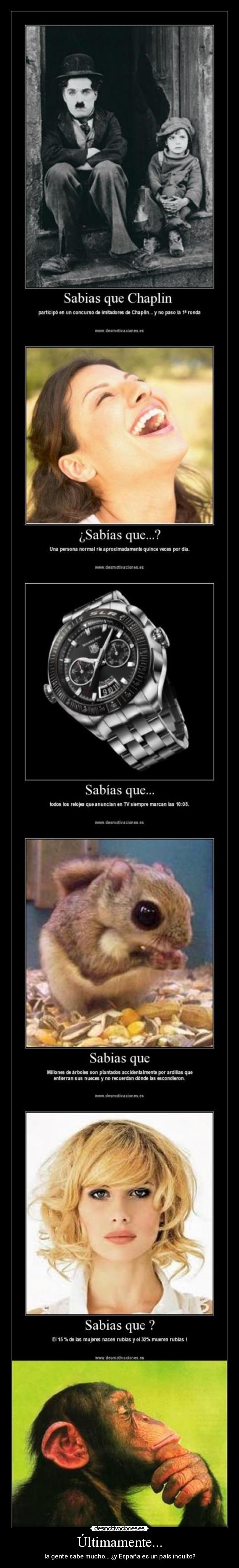 Últimamente... - la gente sabe mucho... ¿y España es un país inculto?