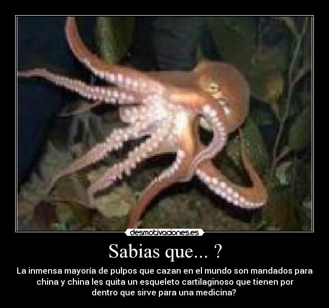 Sabias que... ? - 