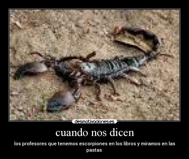cuando nos dicen - los profesores que tenemos escorpiones en los libros y miramos en las pastas