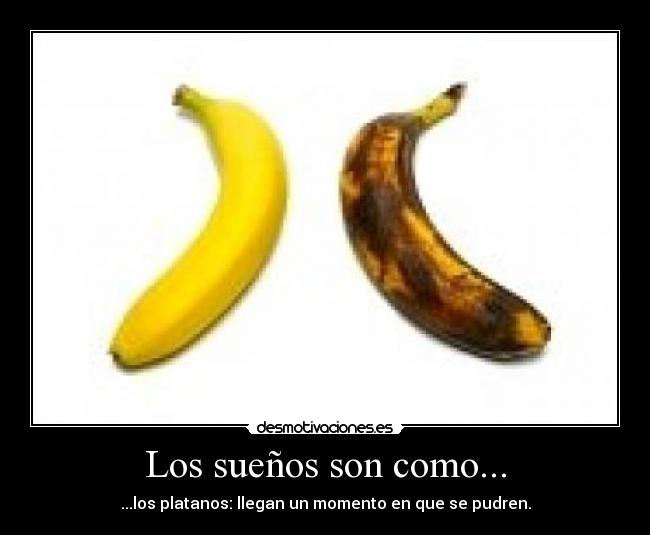Los sueños son como... - ...los platanos: llegan un momento en que se pudren.