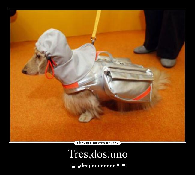 Tres,dos,uno - ¡¡¡¡¡¡¡¡¡despegueeeee !!!!!!!!