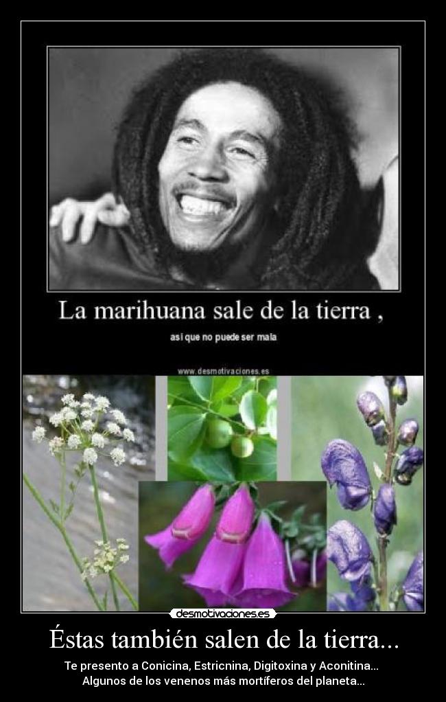 Éstas también salen de la tierra... - Te presento a Conicina, Estricnina, Digitoxina y Aconitina... 
Algunos de los venenos más mortíferos del planeta...