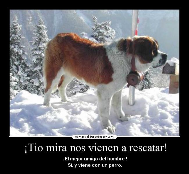 ¡Tio mira nos vienen a rescatar! -