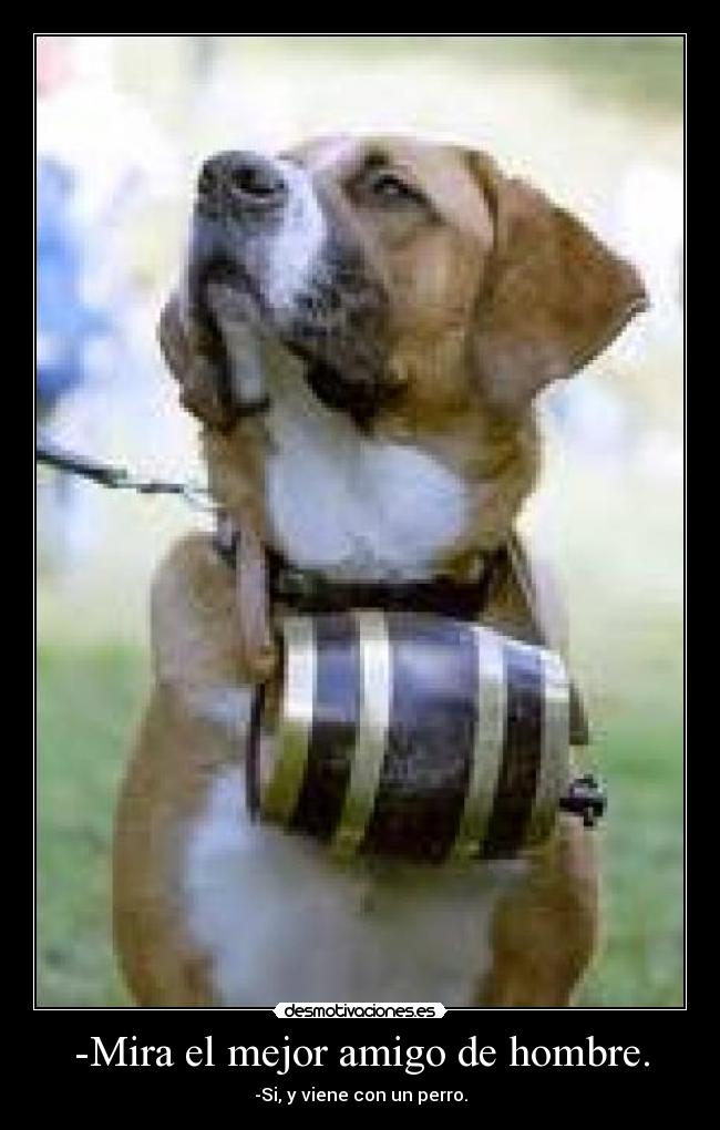 -Mira el mejor amigo de hombre. -