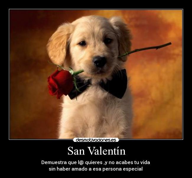 San Valentín - Demuestra que l@ quieres ,y no acabes tu vida
sin haber amado a esa persona especial