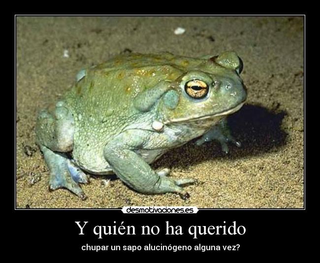 Usuario mujerdelseñorheavy Desmotivaciones Usuario mujerdelseñorheavy Desmotivaciones