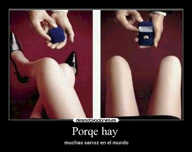 Porqe hay - muchas sarroz en el mundo